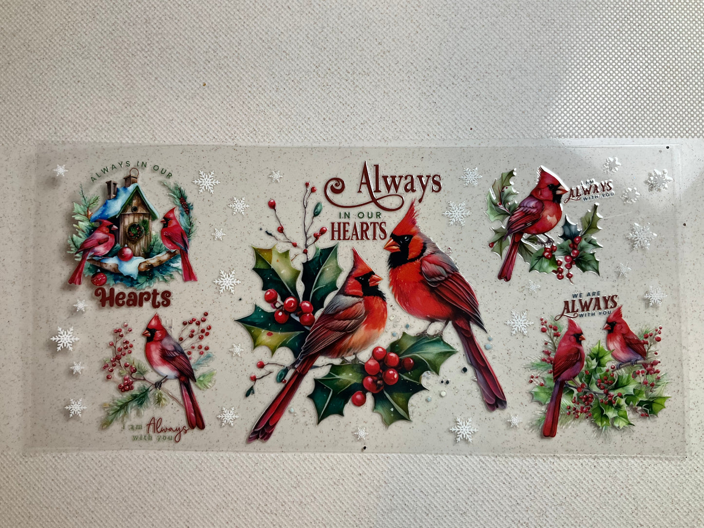 A- Cardinal Always in our Hearts